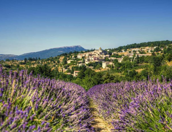 village lavande provence